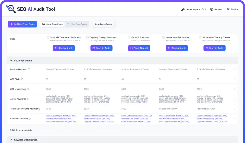 SEO AI audit Tool Dashboard